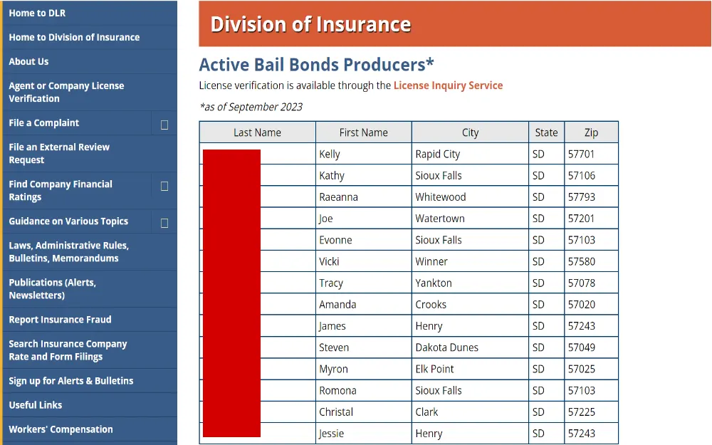 A screenshot showing the list of licensed active bail bond producers in South Dakota and the counties they operated in.